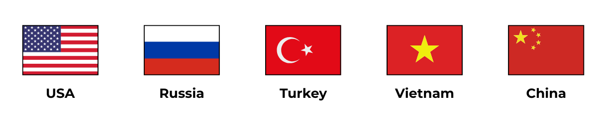 International Logo